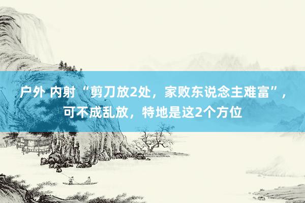 户外 内射 “剪刀放2处，家败东说念主难富”，可不成乱放，特地是这2个方位