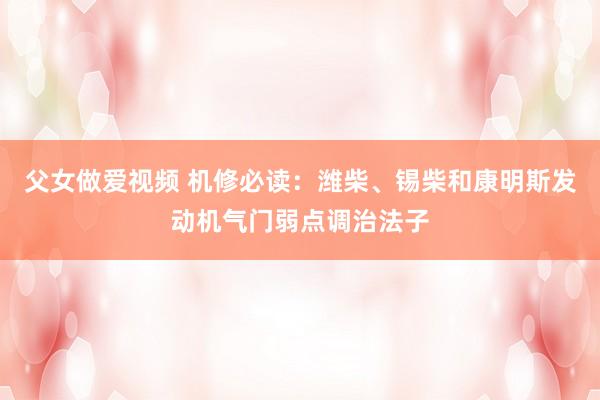 父女做爱视频 机修必读：潍柴、锡柴和康明斯发动机气门弱点调治法子