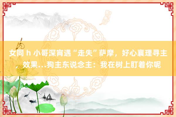 女同 h 小哥深宵遇“走失”萨摩，好心襄理寻主，效果…狗主东说念主：我在树上盯着你呢