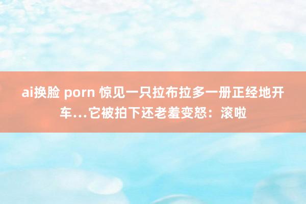 ai换脸 porn 惊见一只拉布拉多一册正经地开车…它被拍下还老羞变怒：滚啦