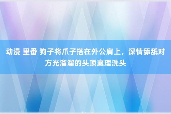 动漫 里番 狗子将爪子搭在外公肩上，深情舔舐对方光溜溜的头顶襄理洗头