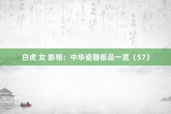 白虎 女 影相：中华瓷器极品一览（57）