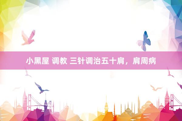 小黑屋 调教 三针调治五十肩，肩周病