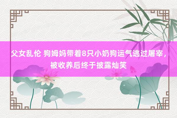 父女乱伦 狗姆妈带着8只小奶狗运气逃过屠宰，被收养后终于披露