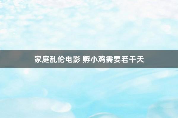 家庭乱伦电影 孵小鸡需要若干天