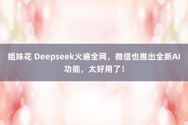 姐妹花 Deepseek火遍全网，微信也推出全新AI功能，太好用了！